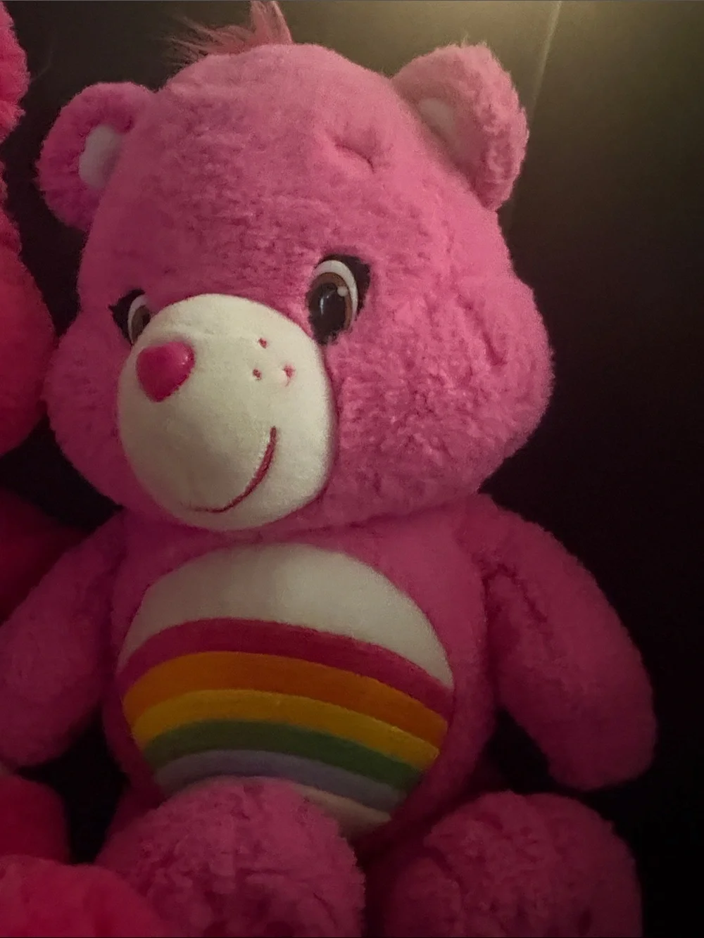 Care Bears Bright Pink Plush Pair - Rainbow & 'We Care' Designs